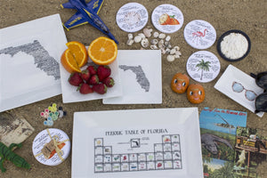 Florida Anatomy Coaster Set