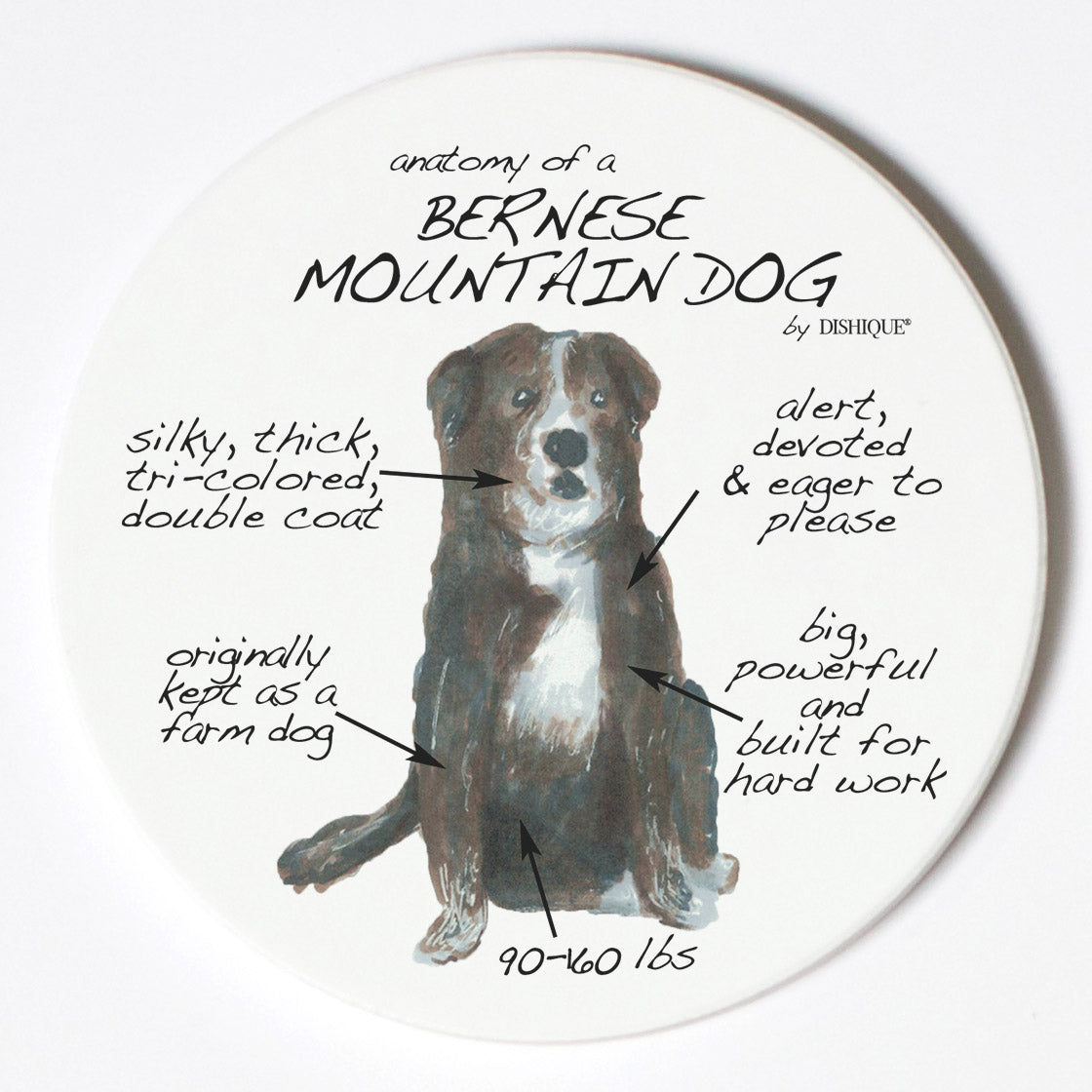 Individual Coaster - Dog Breed Gifts - Bernese Mountain Dog