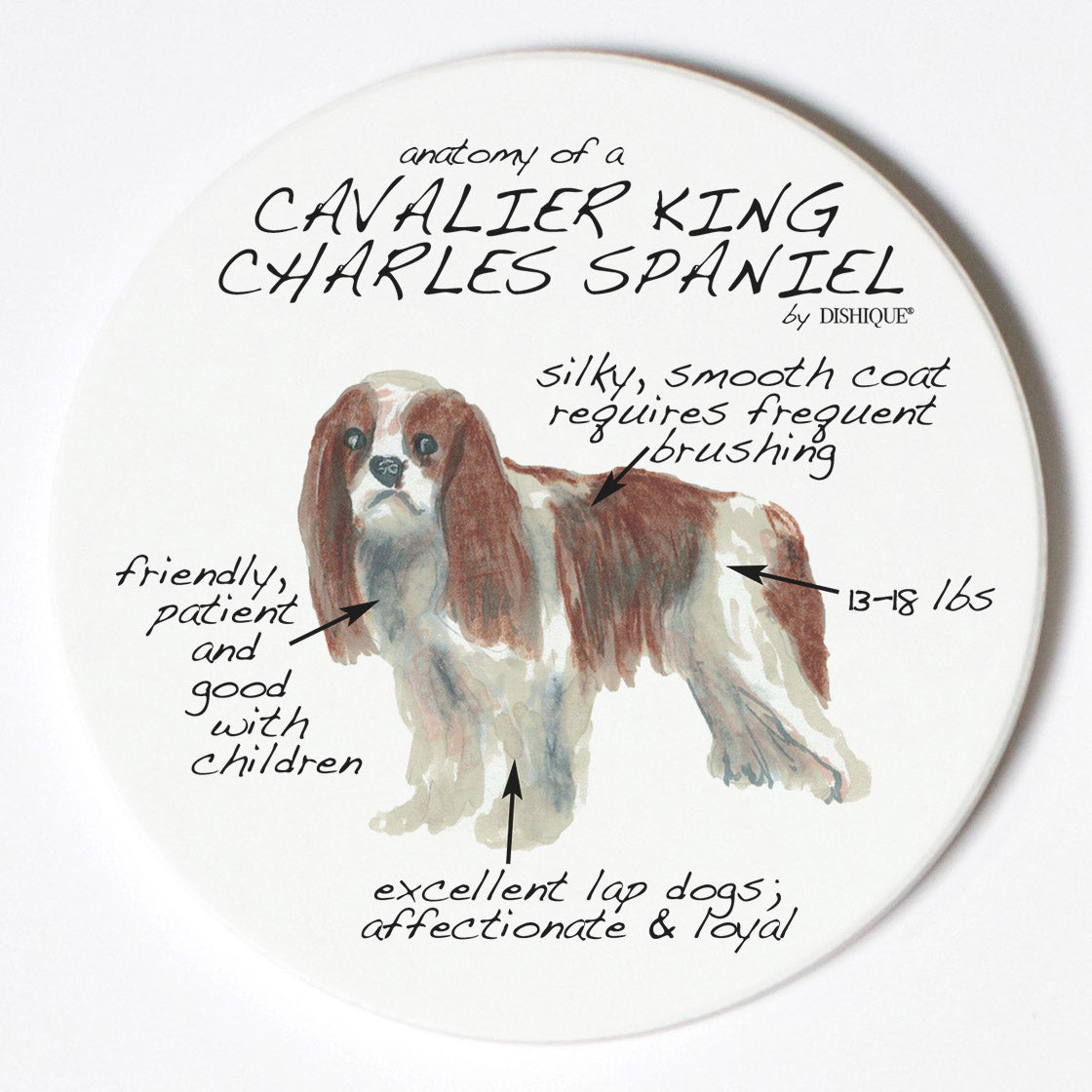 Individual Coaster - Dog Breed Gifts - King Cavalier