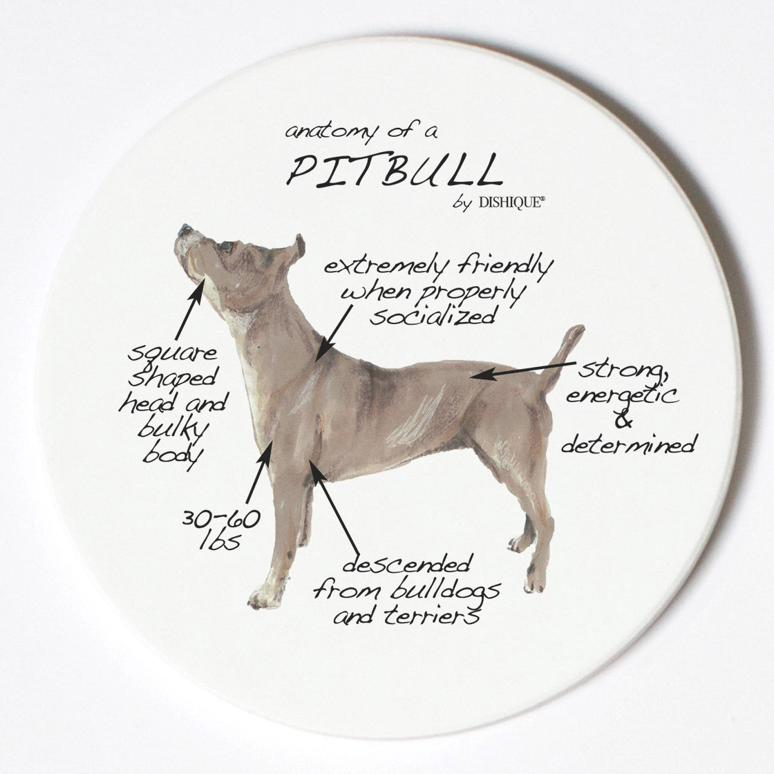 Individual Coaster - Dog Breed Gifts - Pitbull