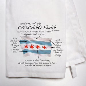 Anatomy of the Chicago Flag Dish Towel