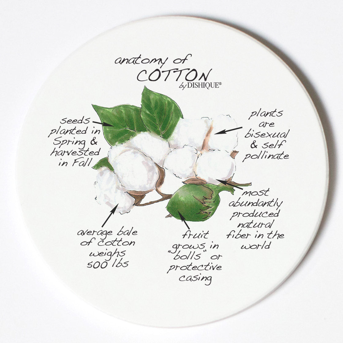 Individual Coasters - Plants - Cotton