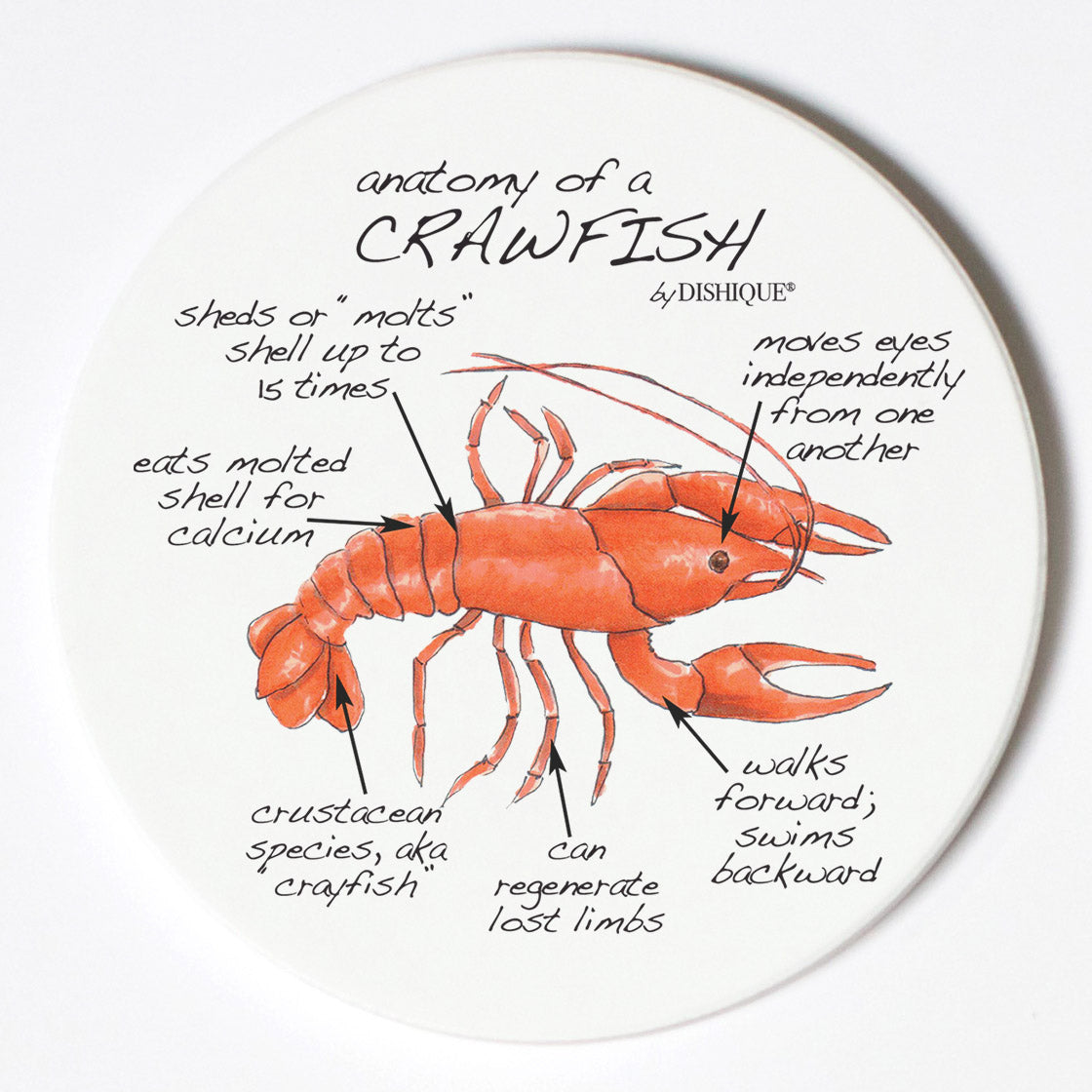 Individual Coasters - Animals & Insects - Crawfish