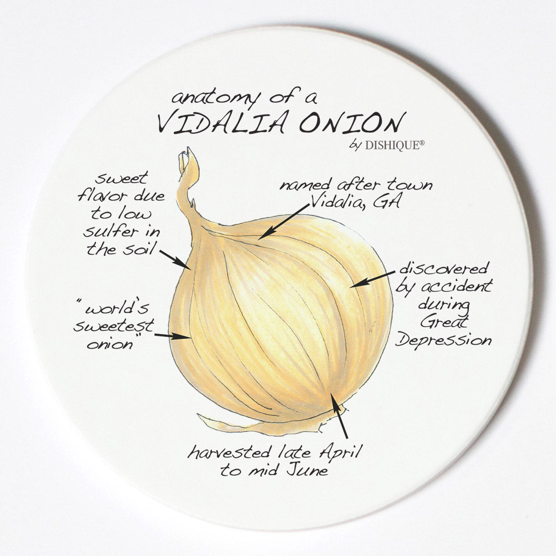 Individual Coasters - Food & Drinks - Vidalia Onion