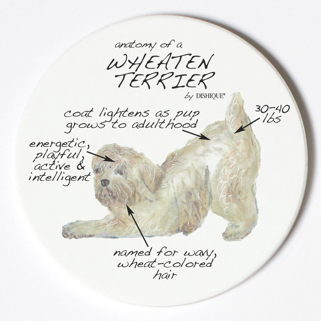 Individual Coaster - Dog Breed Gifts - Wheaten Terrier