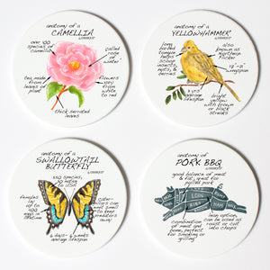 Alabama Anatomy Coaster Set