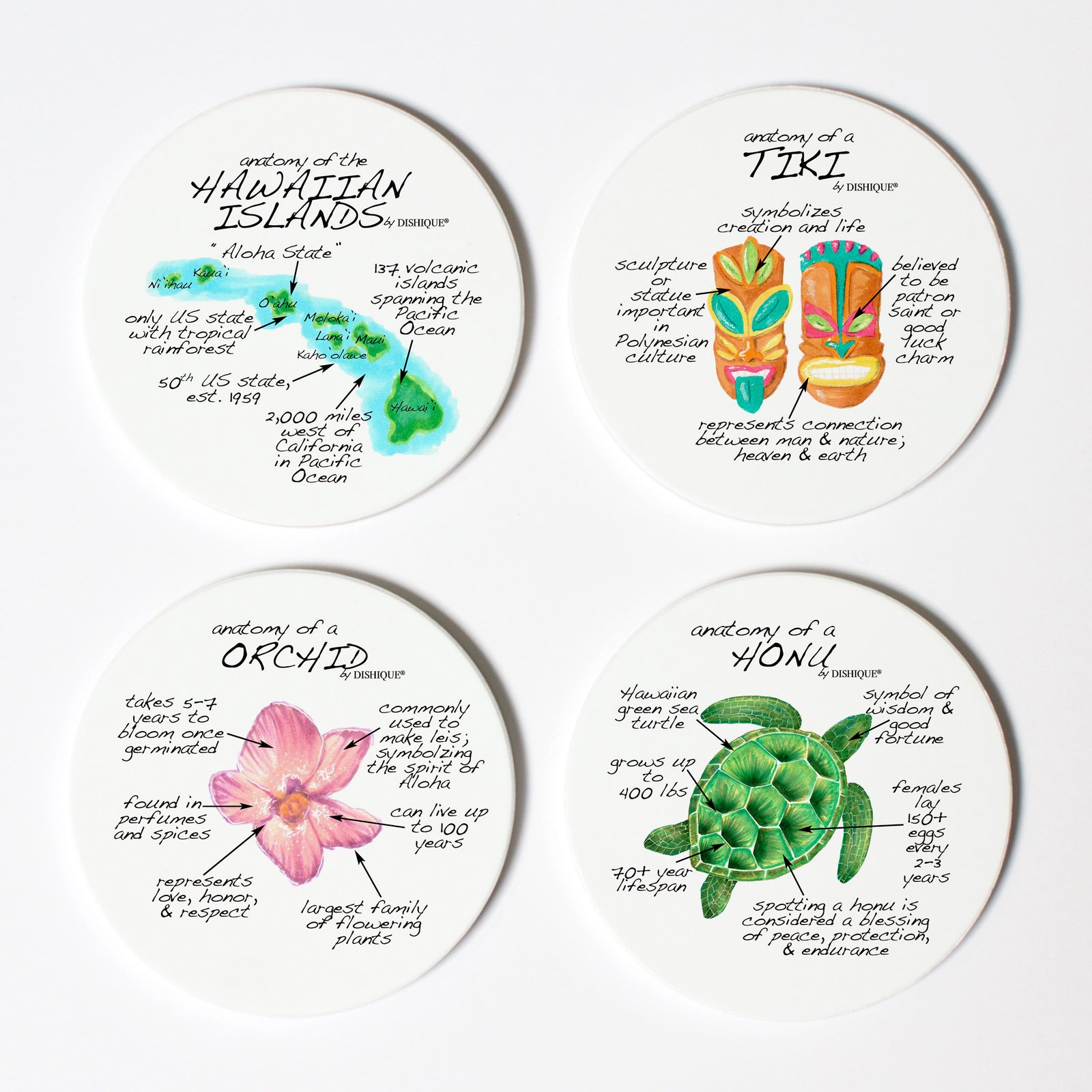 Hawaii Anatomy Coaster Set
