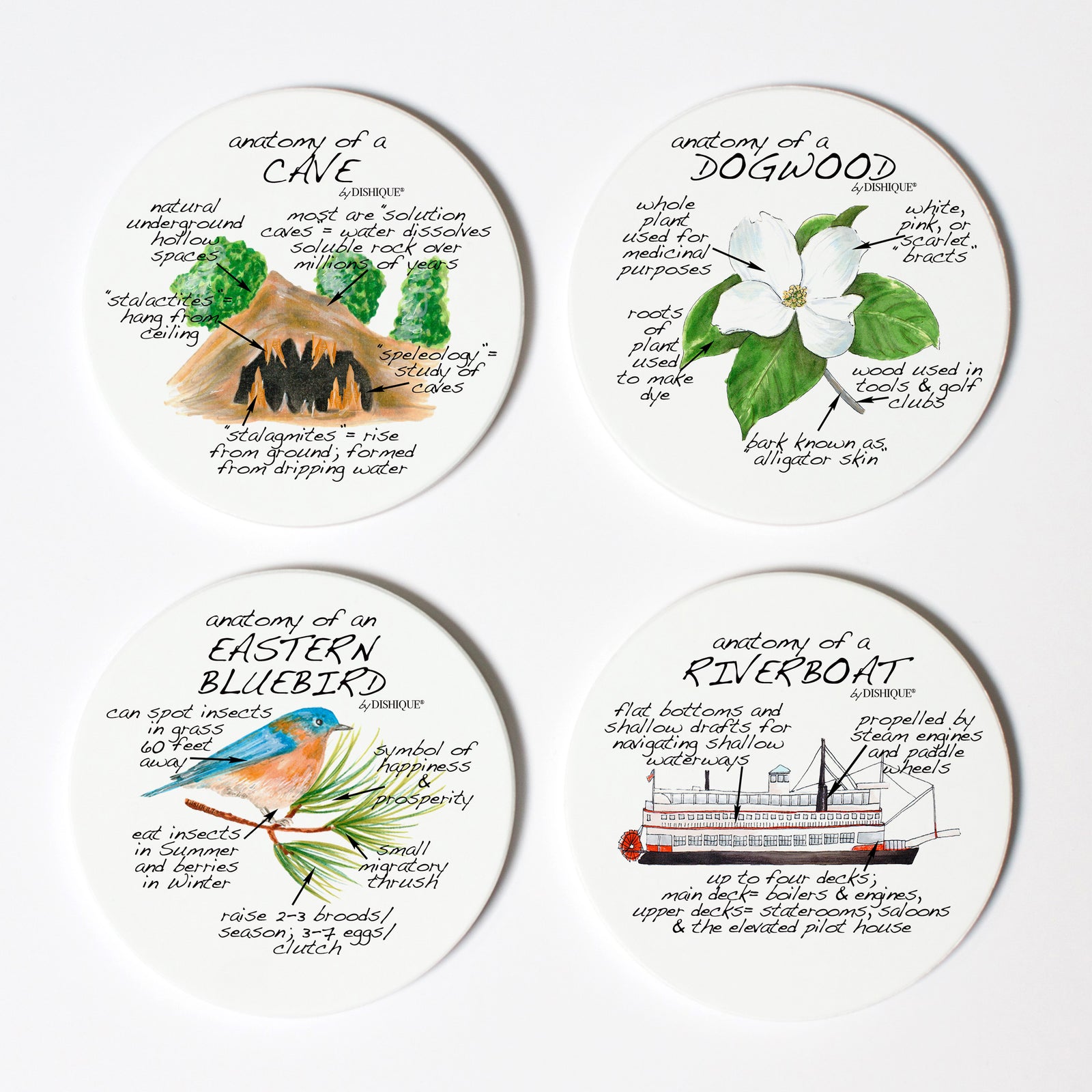 Missouri Anatomy Coaster Set