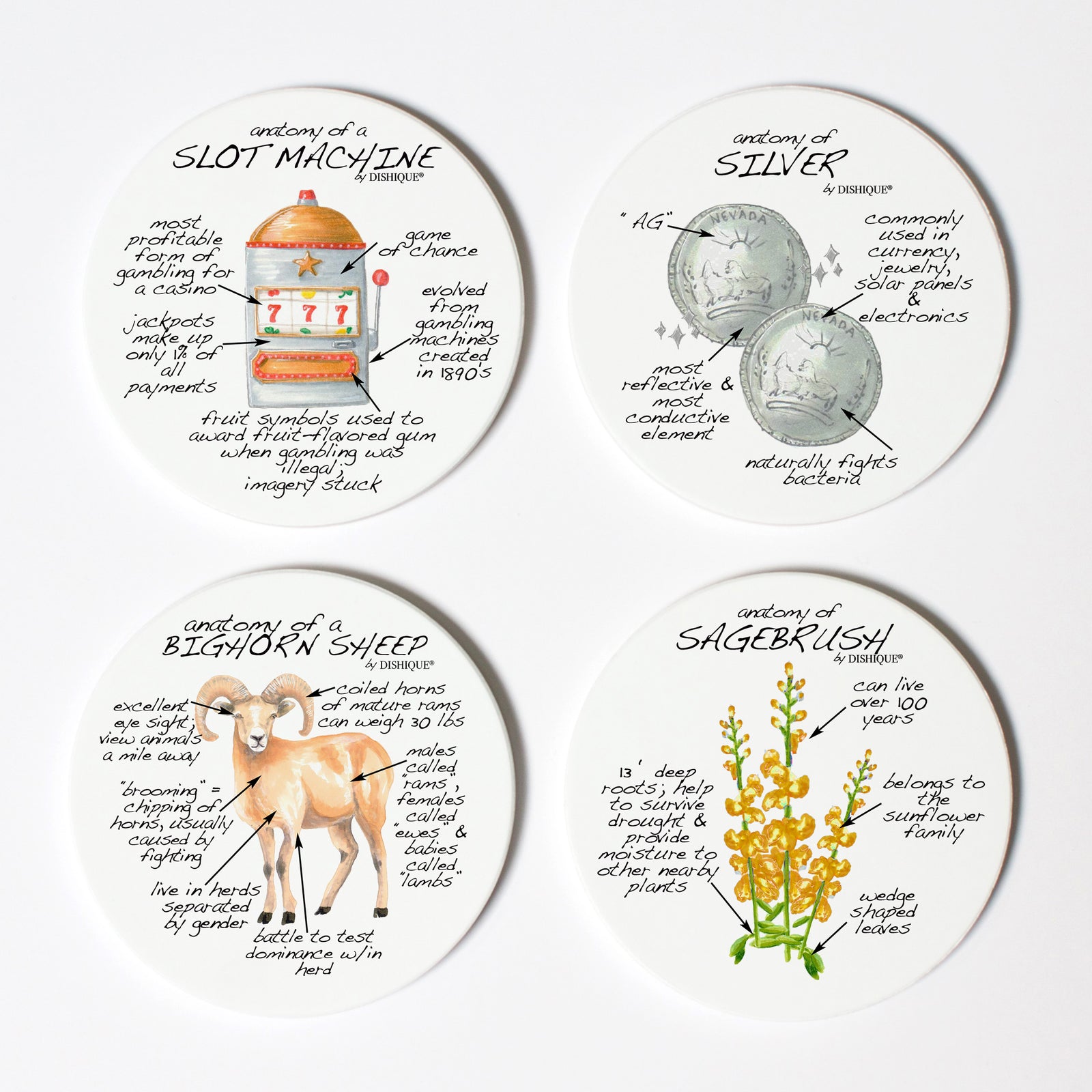 Nevada Anatomy Coaster Set