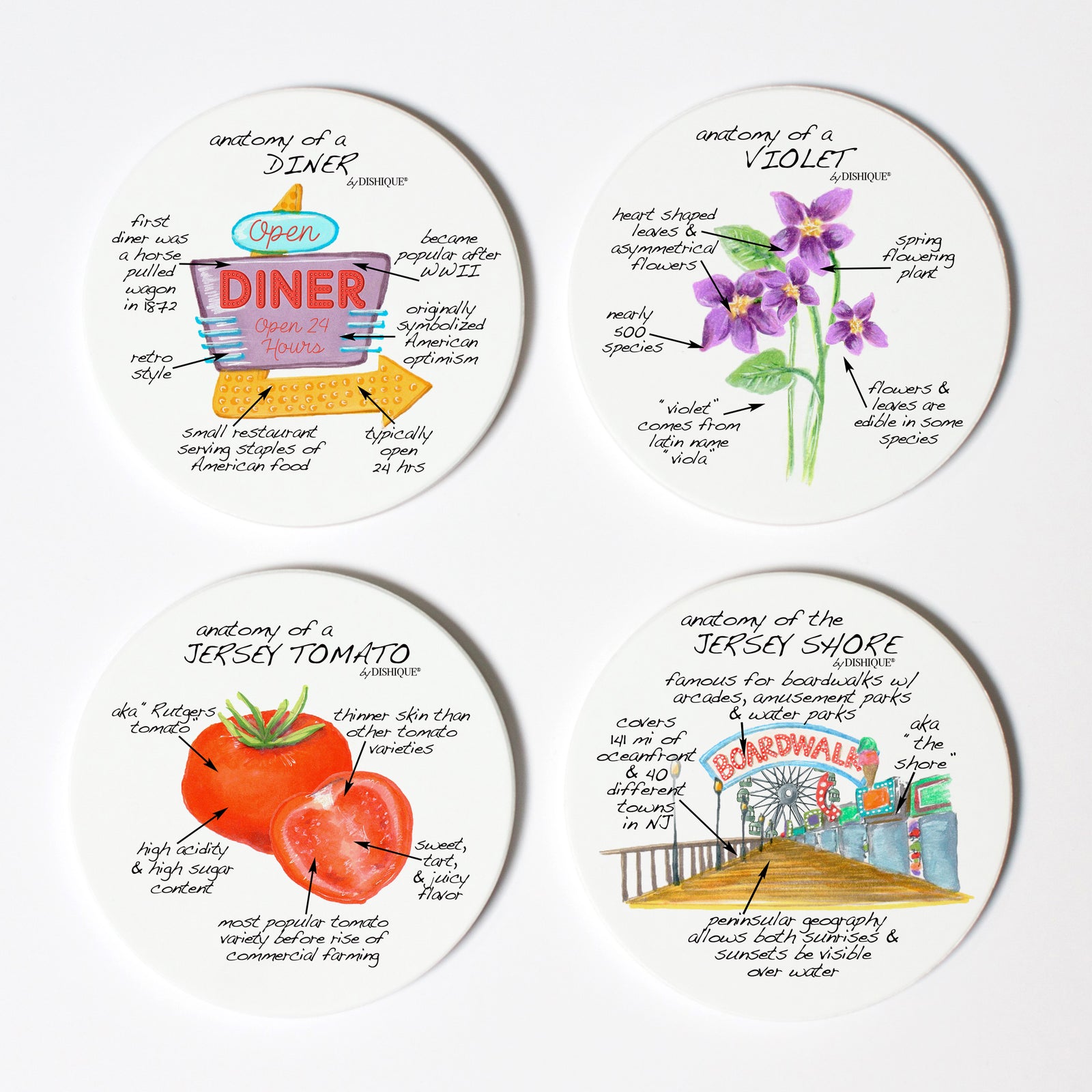 New Jersey Anatomy Coaster Set