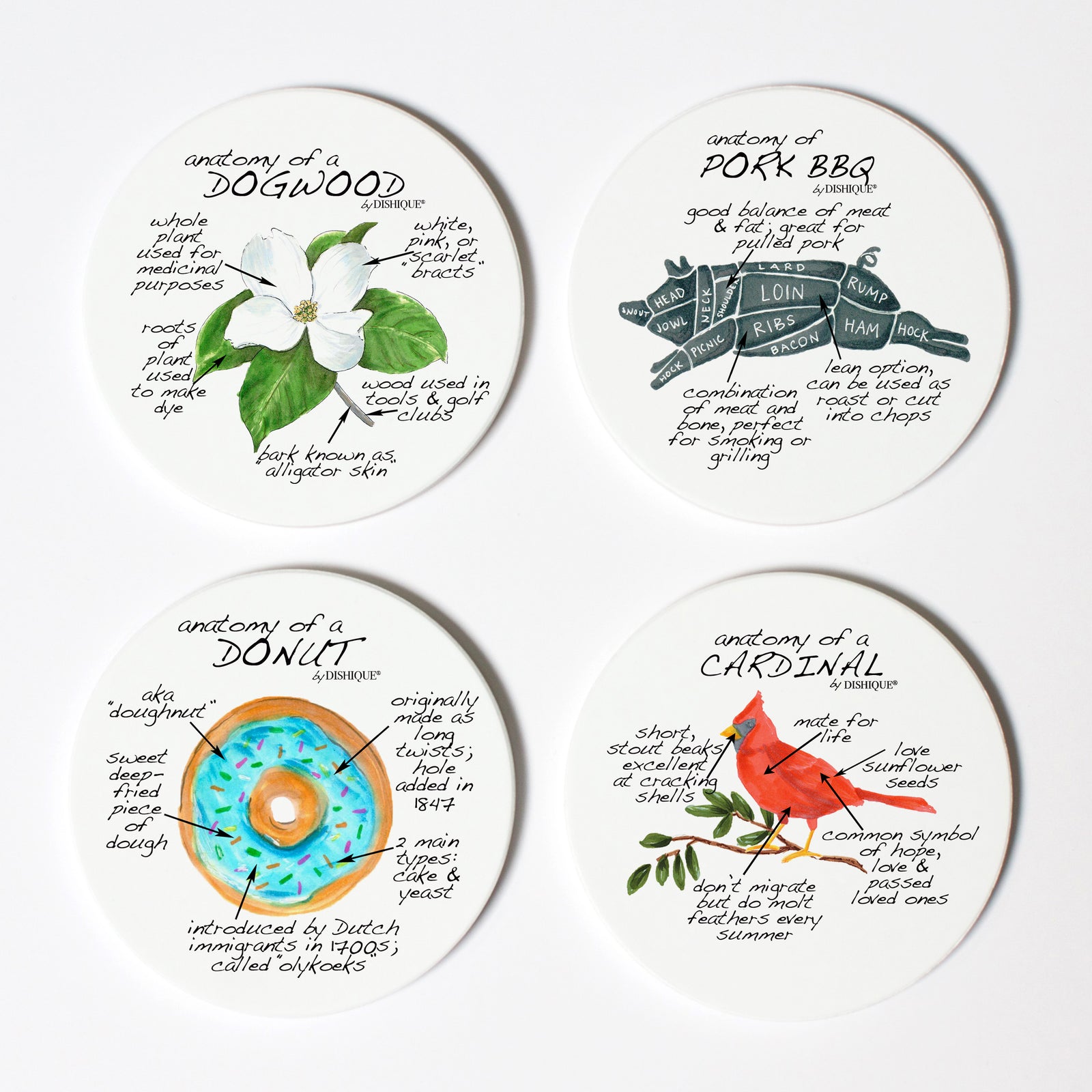 North Carolina Anatomy Coaster Set