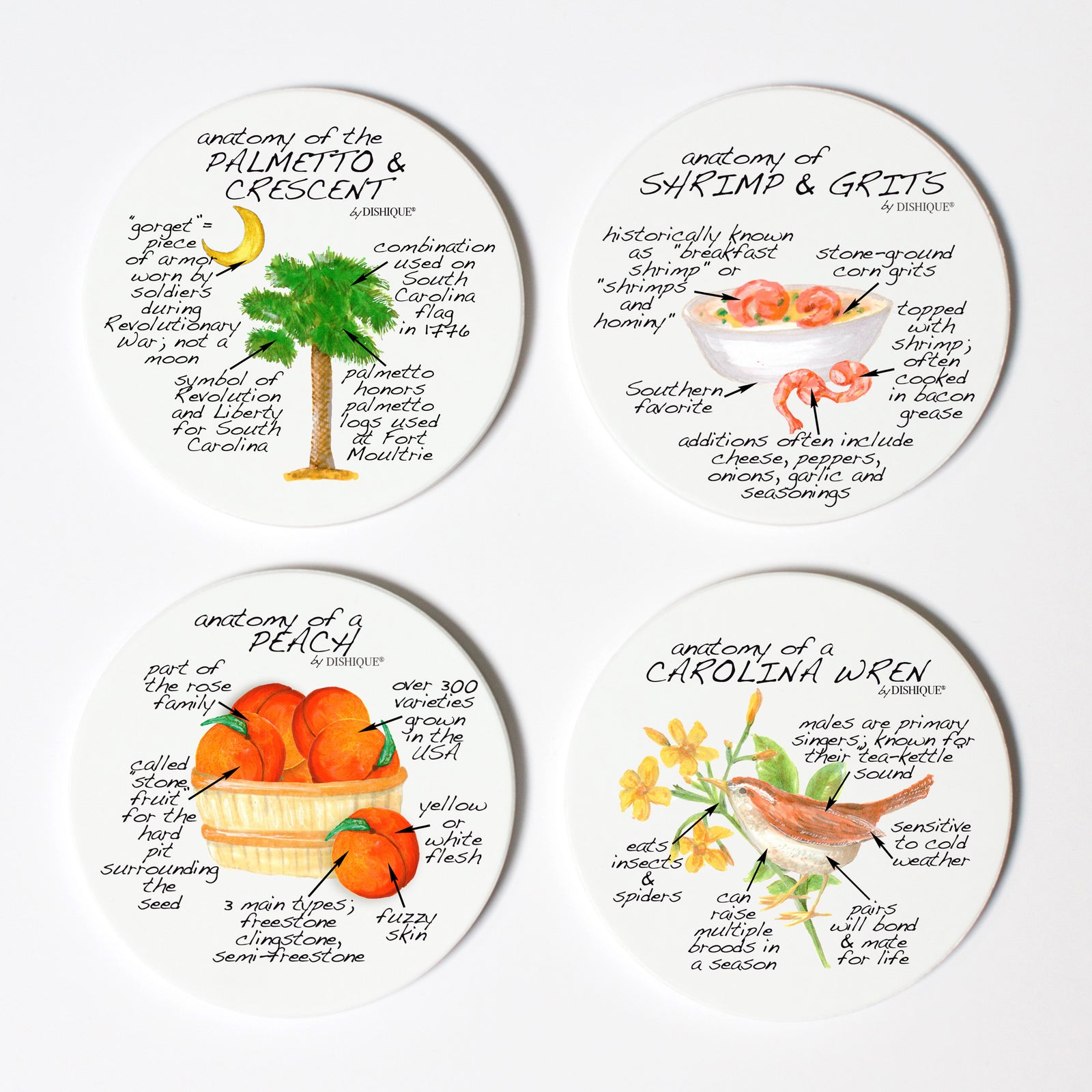 South Carolina Anatomy Coaster Set
