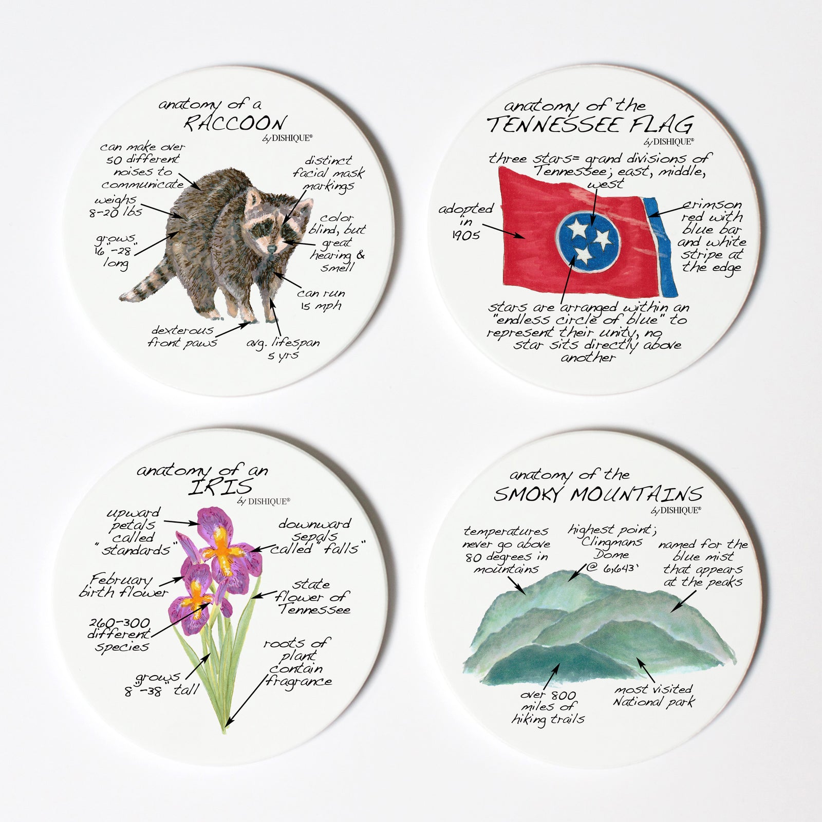Tennessee Anatomy Coaster Set