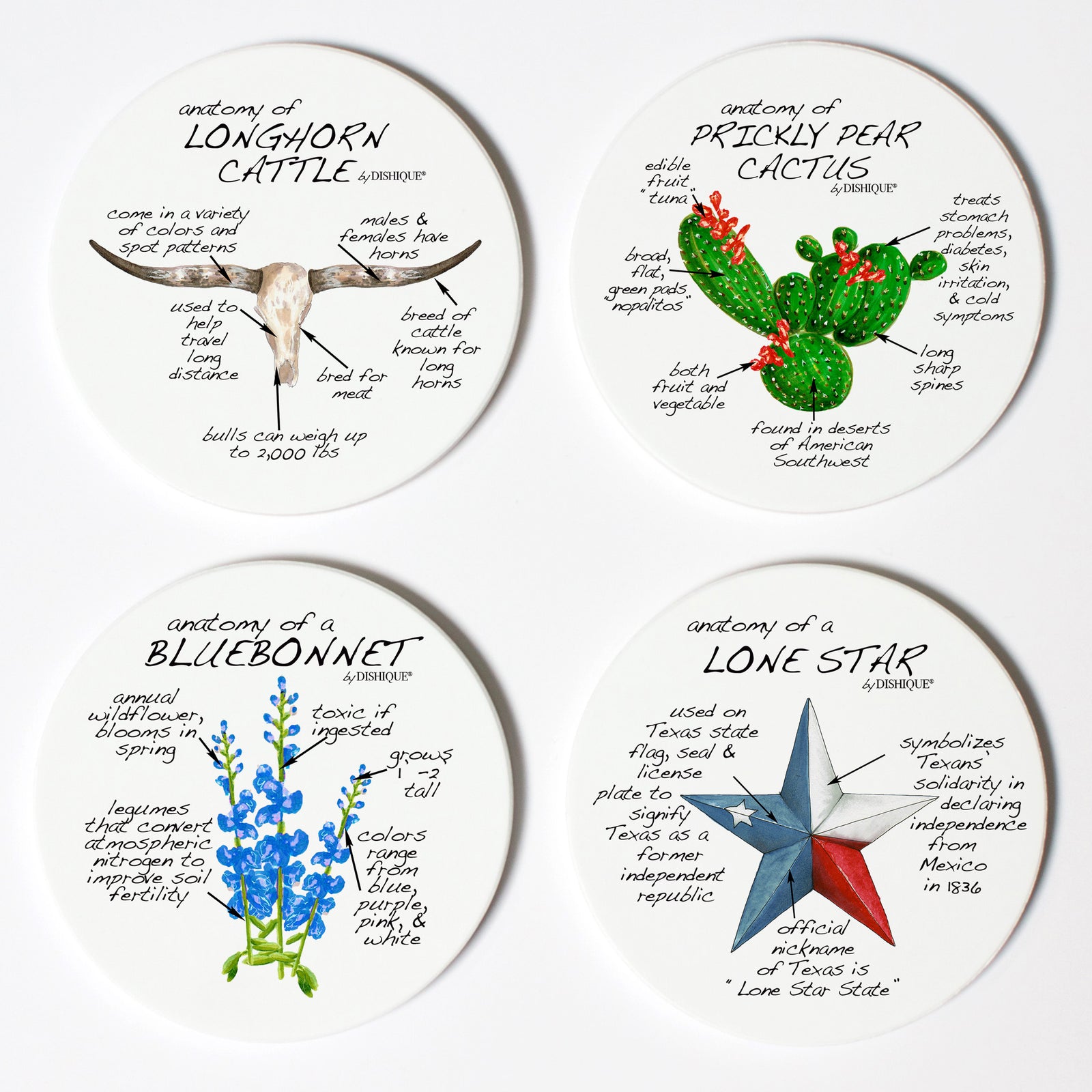 Texas Anatomy Coaster Set