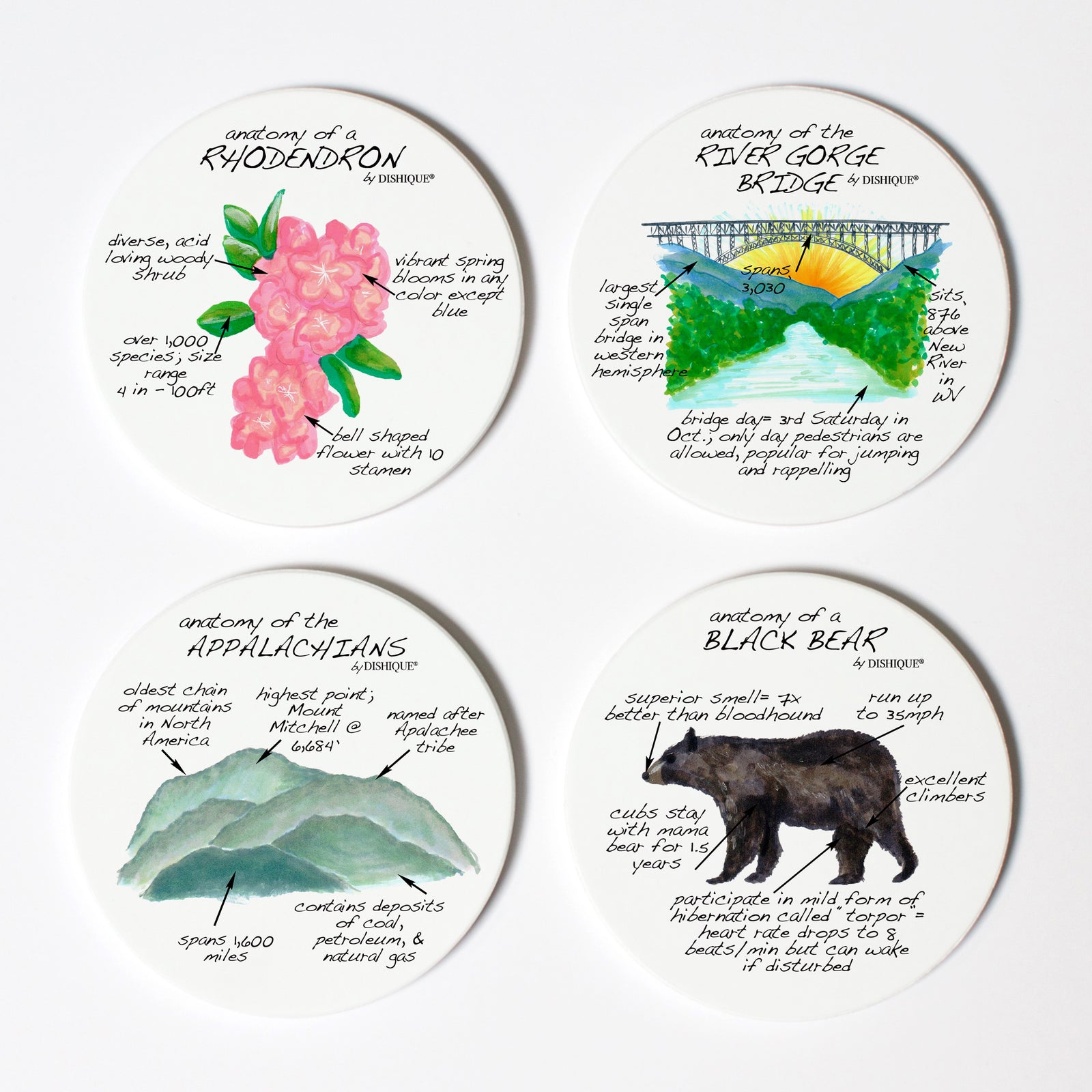 West Virginia Anatomy Coaster Set