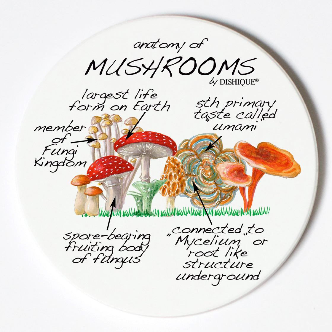 Individual Coasters - Plants - Mushrooms