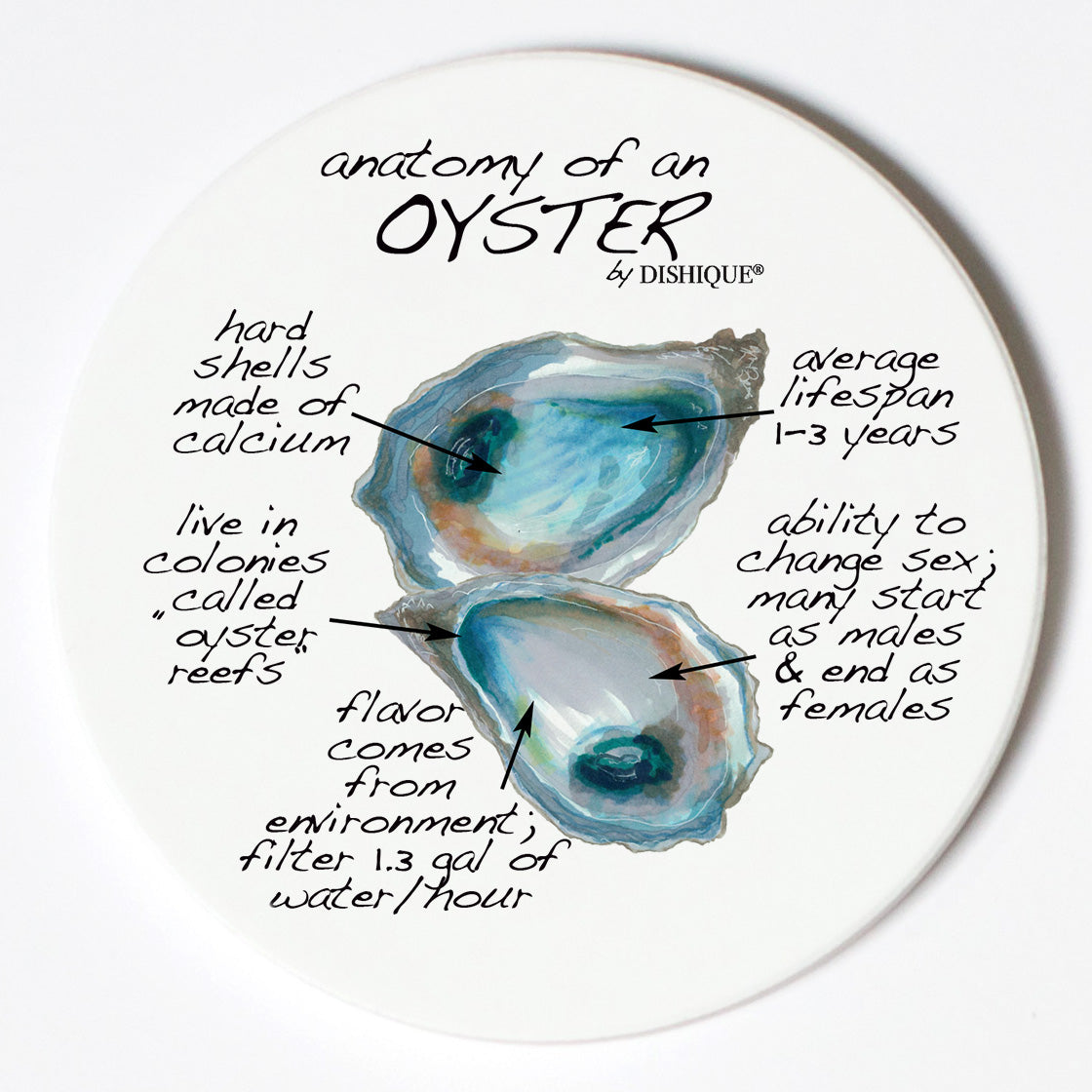 Individual Coasters - Animals & Insects - Oyster
