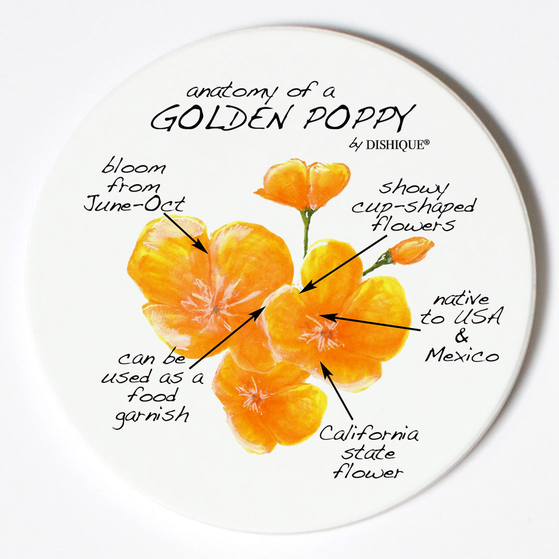 Individual Coasters - Plants - Golden Poppy