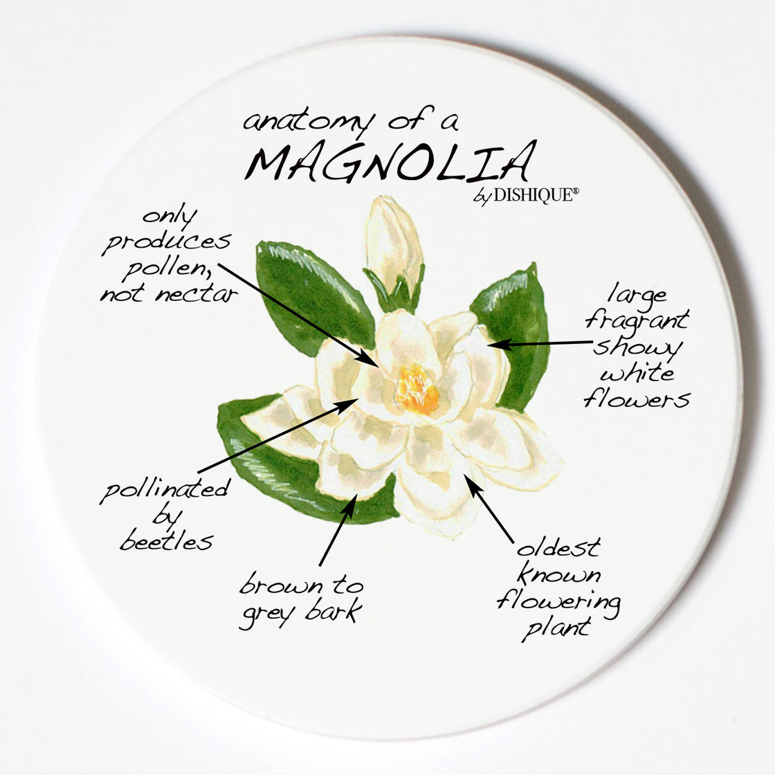 Individual Coasters - Plants