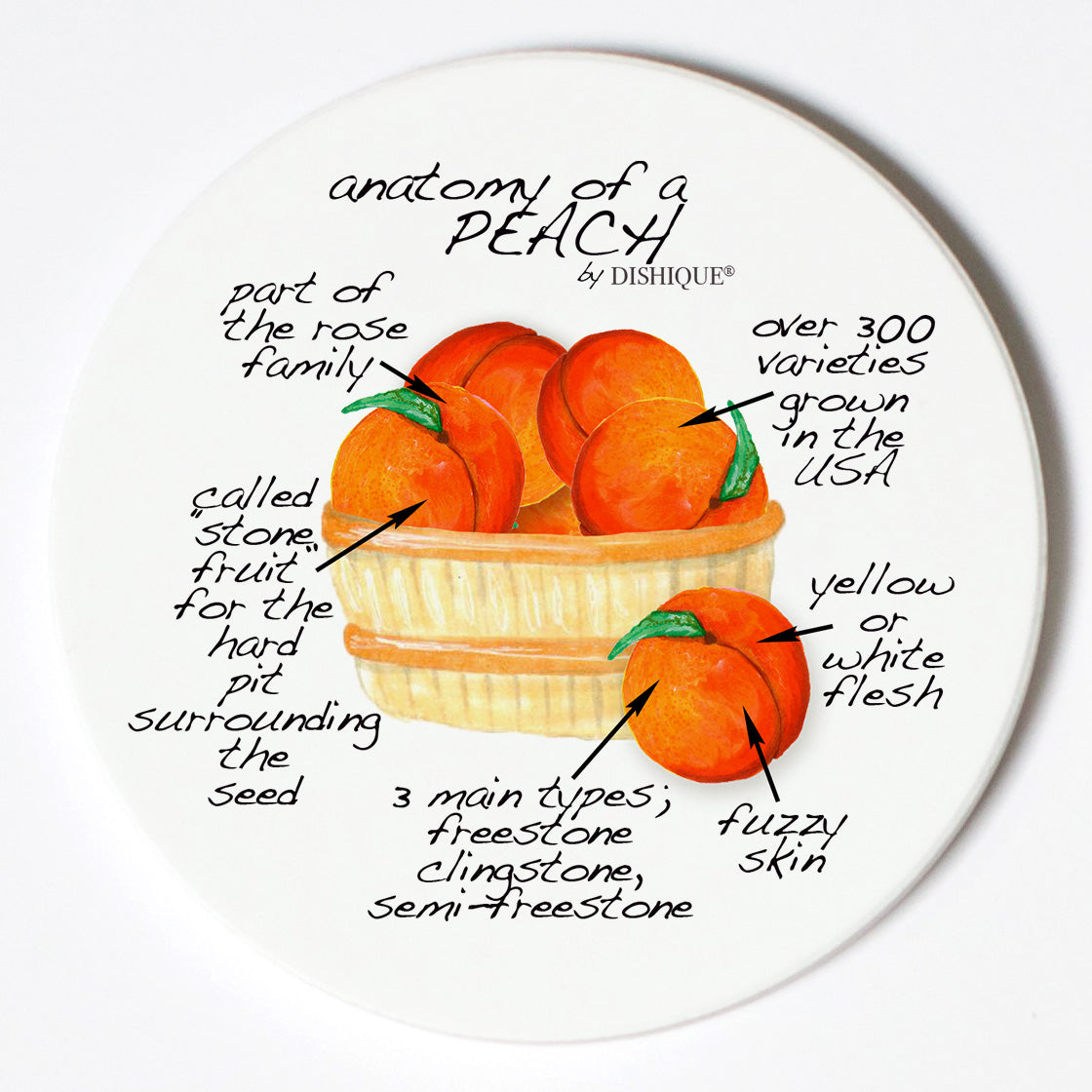 Individual Coasters - Food & Drinks - Peach