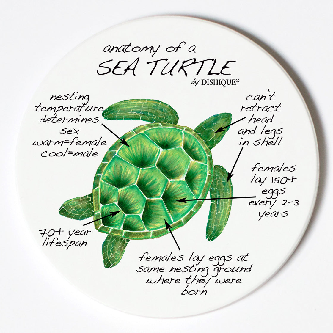 Individual Coasters - Animals & Insects - Sea Turtle