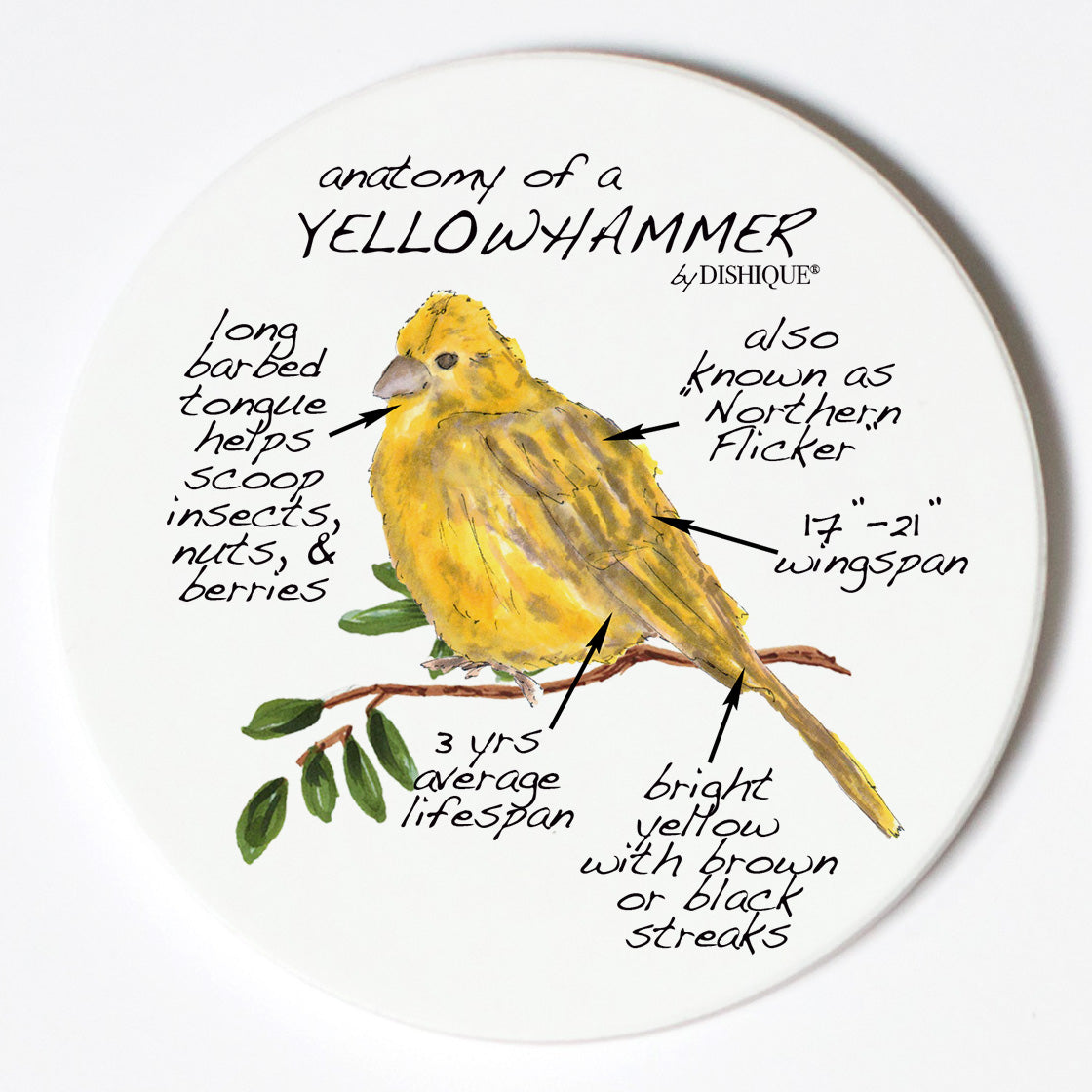 Individual Coasters - Animals & Insects - Yellowhammer