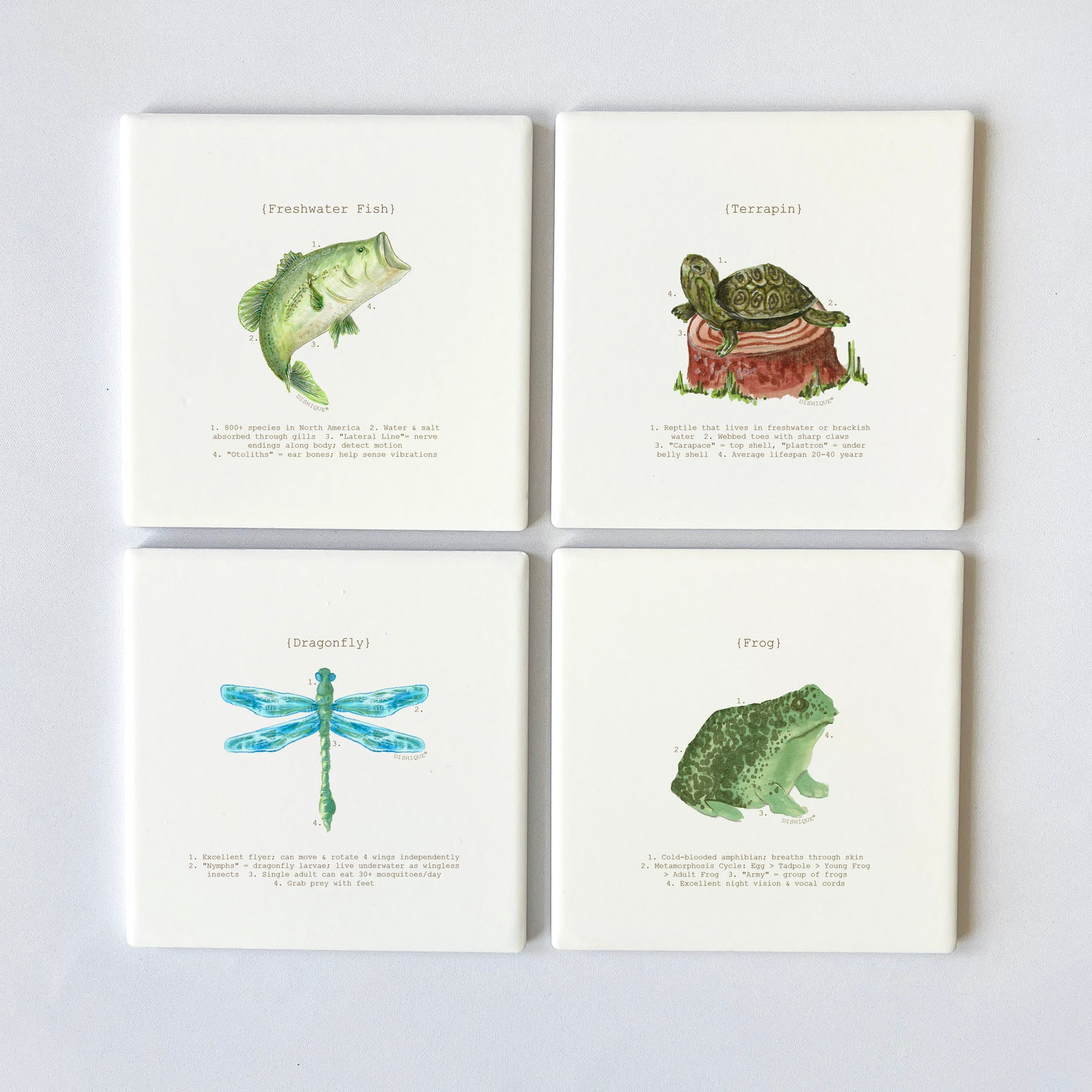 Lake Life Analysis Square 4" Coaster Set