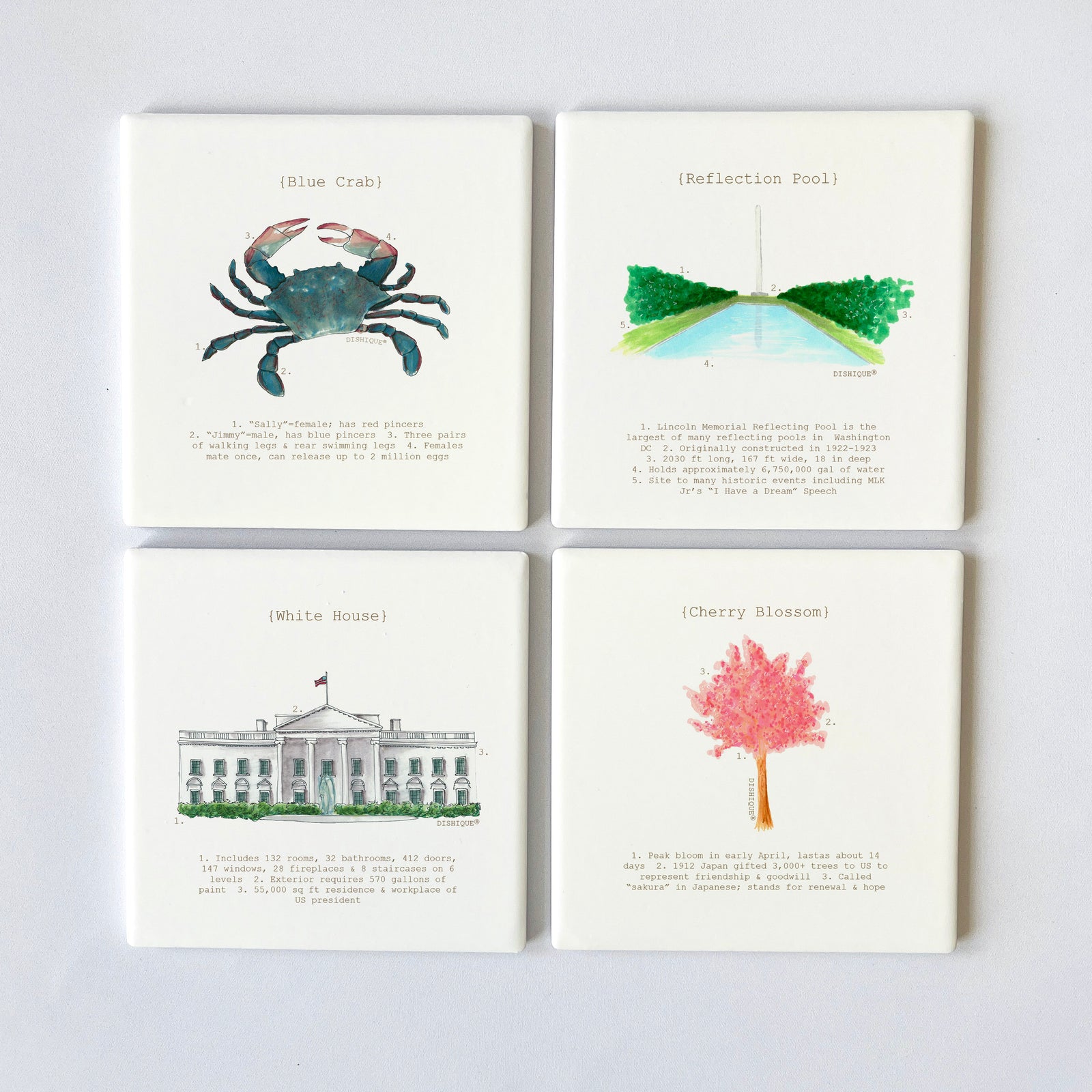 Washington DC Analysis Square 4" Coaster Set