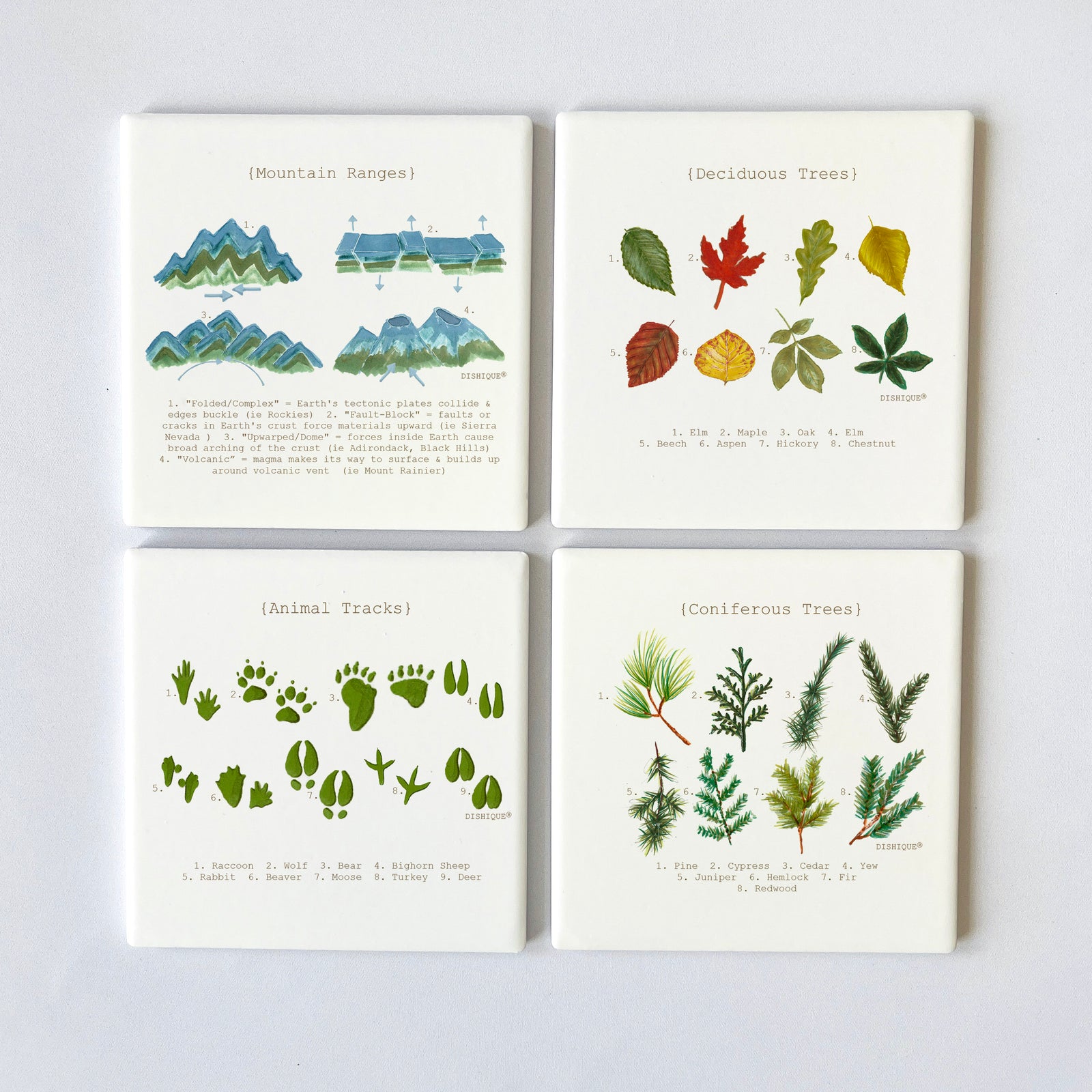 Mountian Life Analysis Square 4" Coaster Set