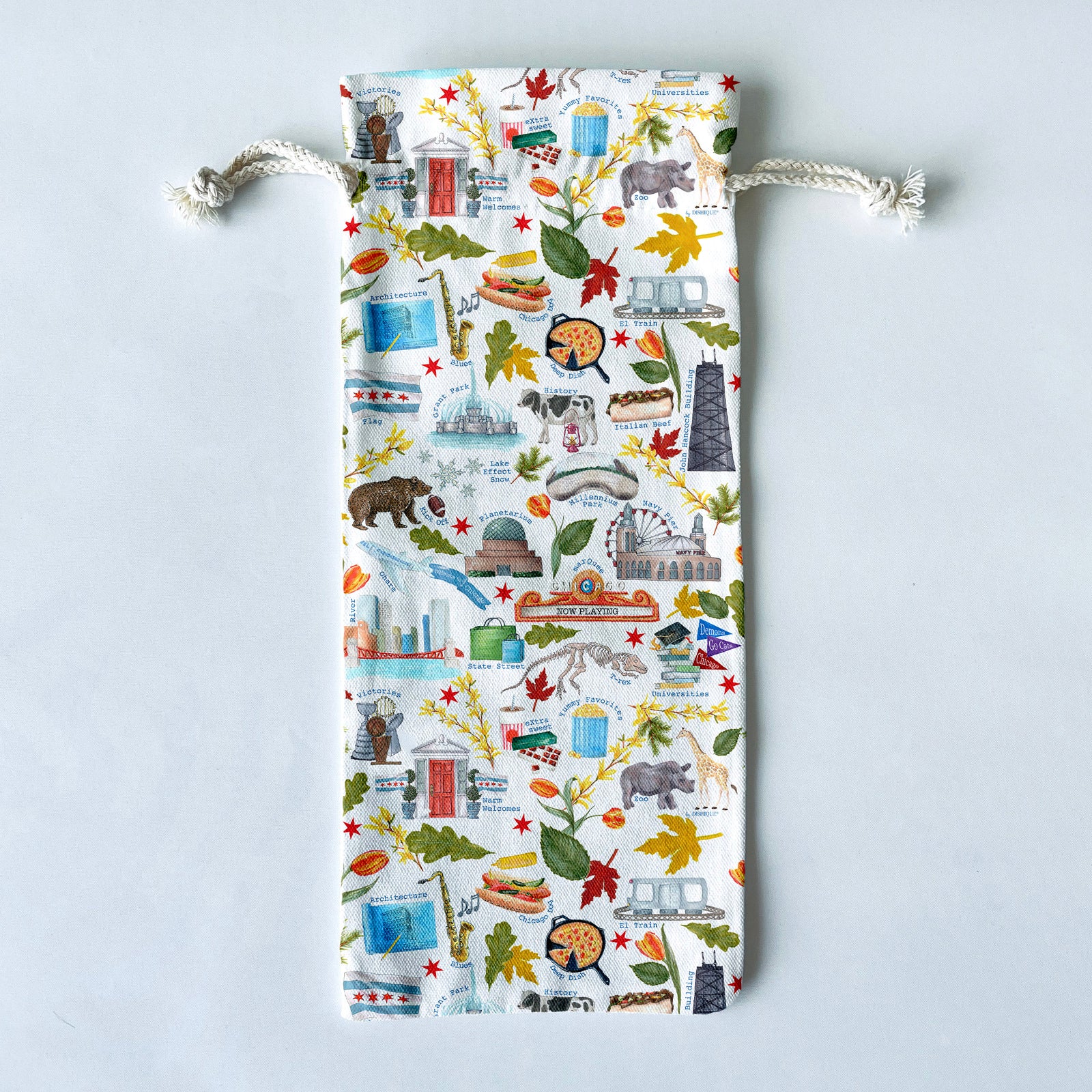 Chicago Themed Wine/Liquor Bottle Gift Bag