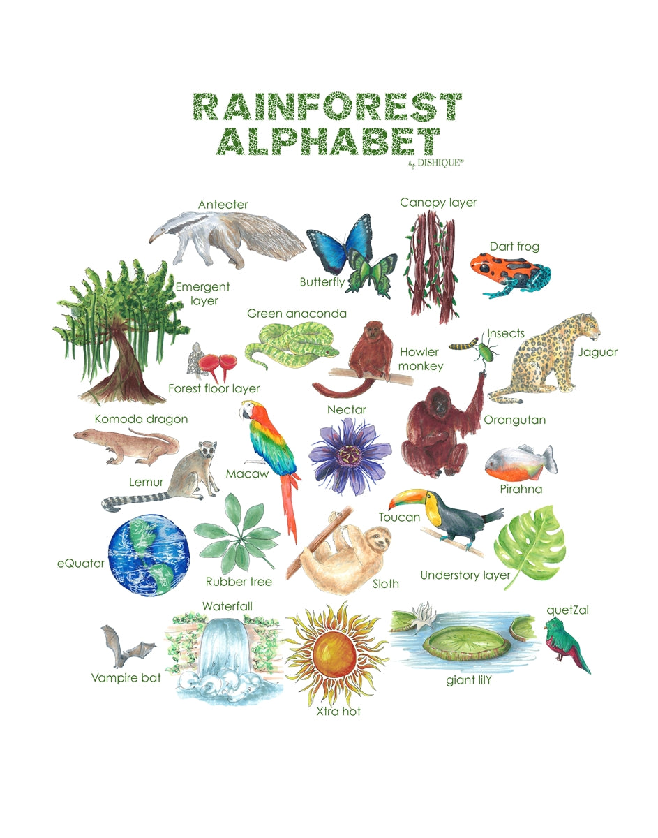Rainforest Alphabet Wall Art
