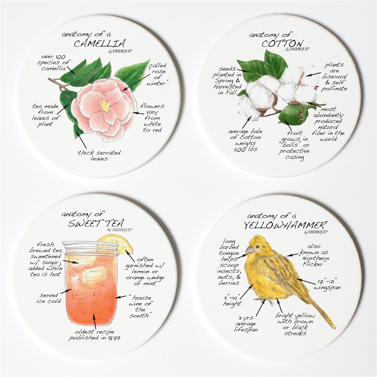 Alabama Anatomy Coaster Set