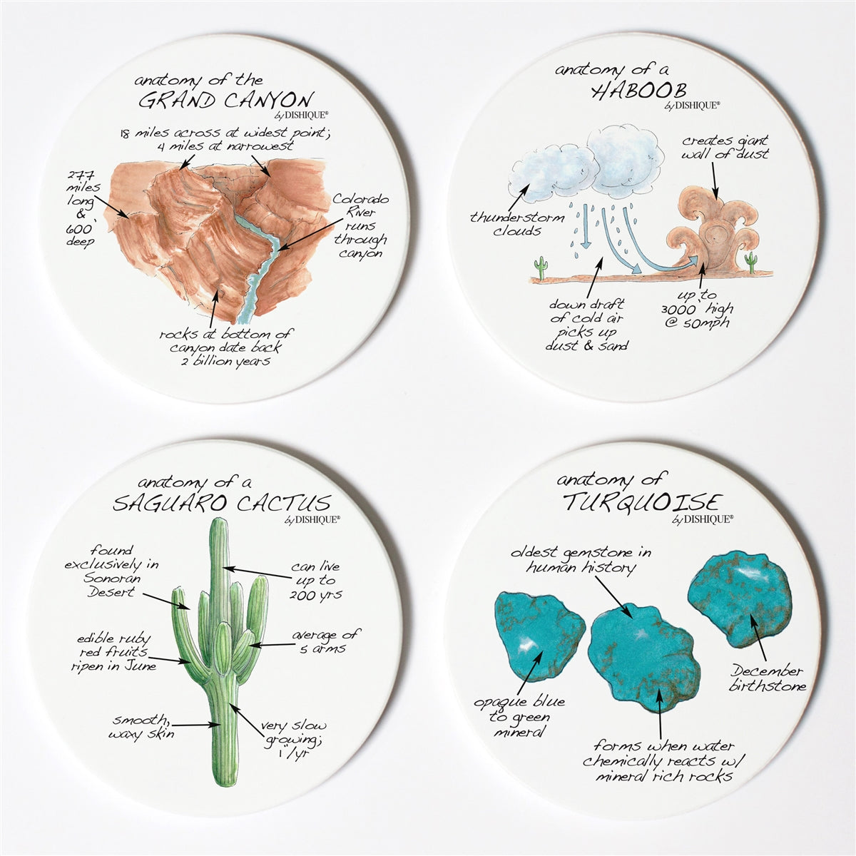 Arizona Anatomy Coaster Set