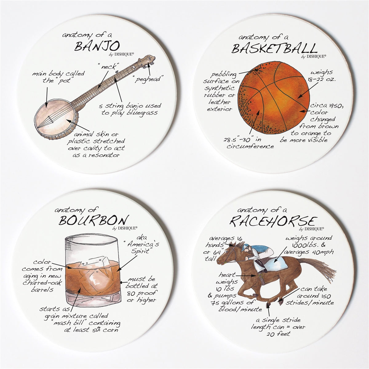 Bluegrass Anatomy Coaster Set