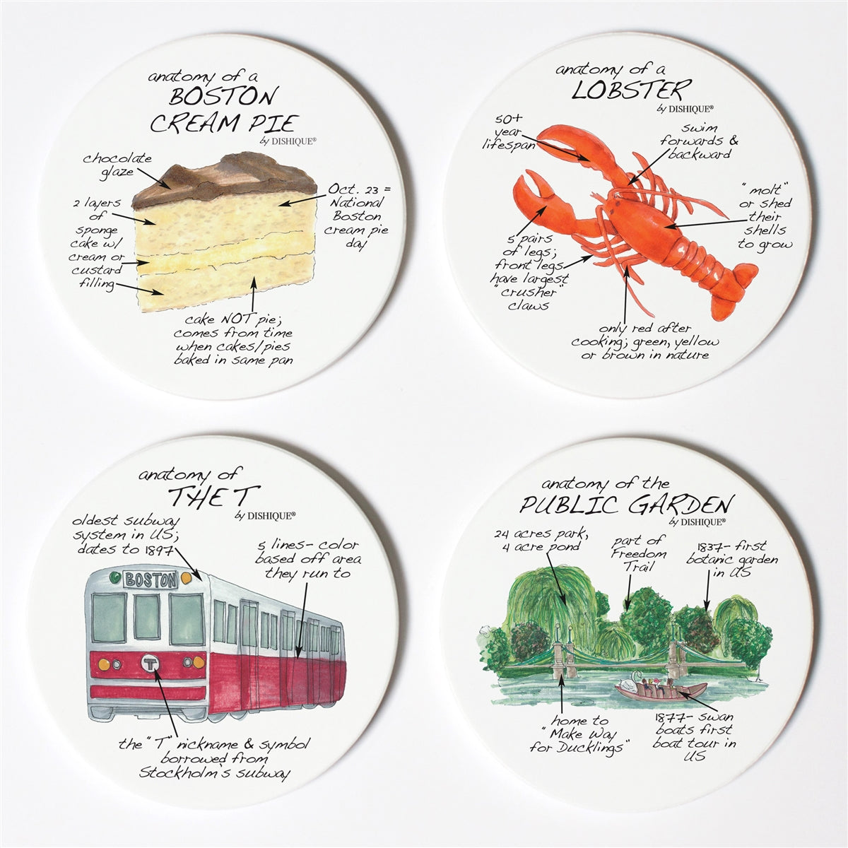 Boston Anatomy Coaster Set