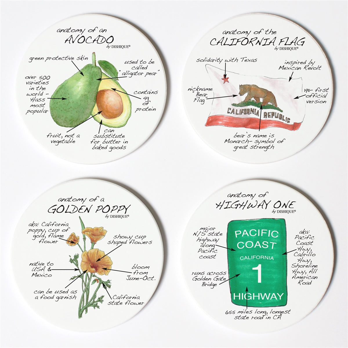 California Anatomy Coaster Set