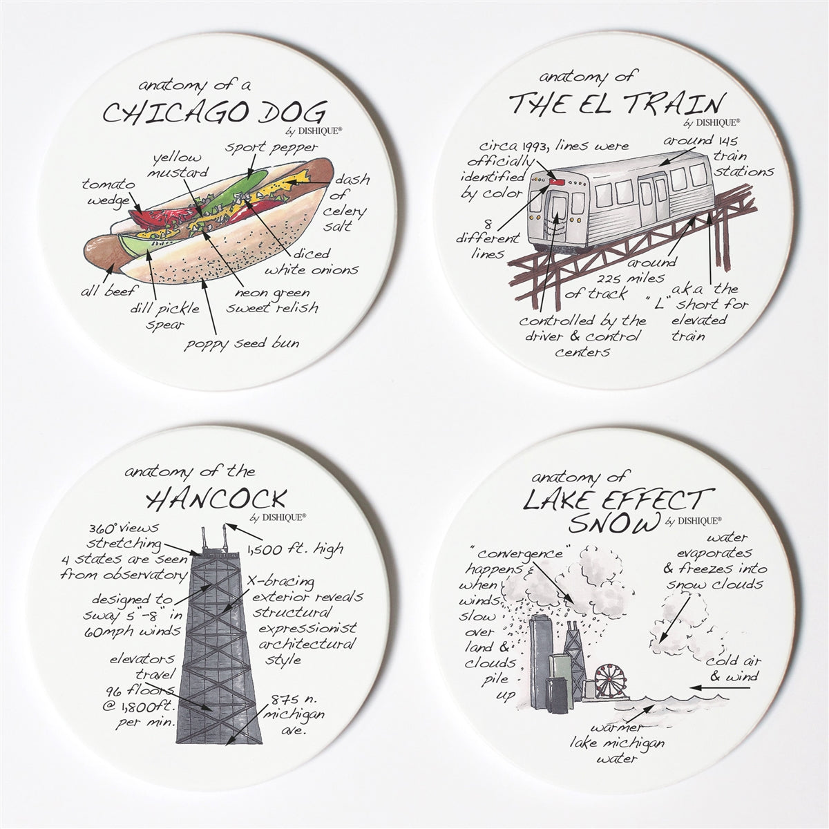 Windy City Anatomy Coaster Set