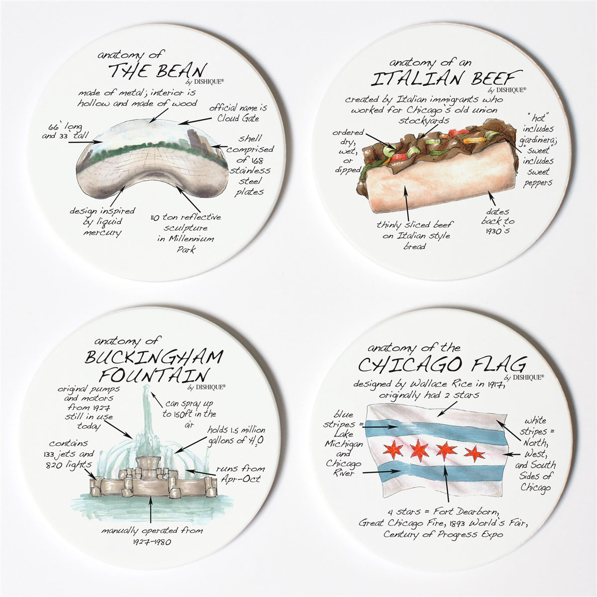Chicago Anatomy Coaster Set