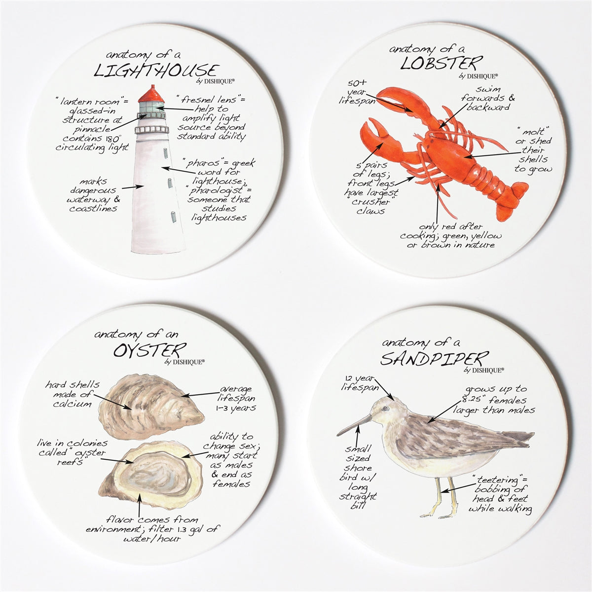 Coastal Life Anatomy Coaster Set