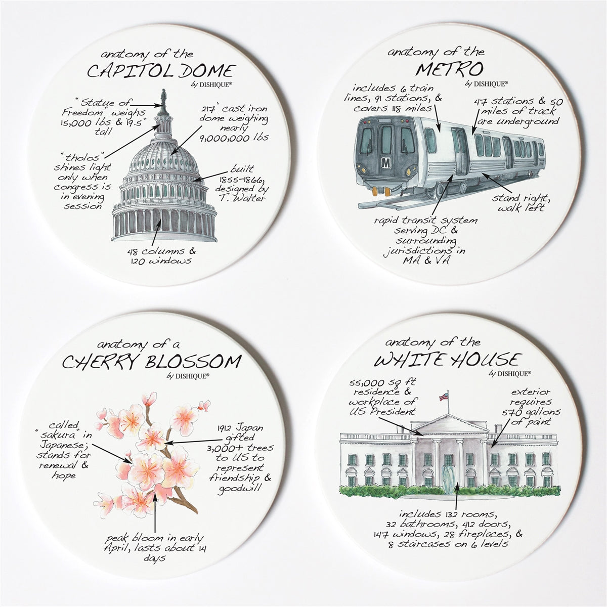 Washington DC Anatomy Coaster Set