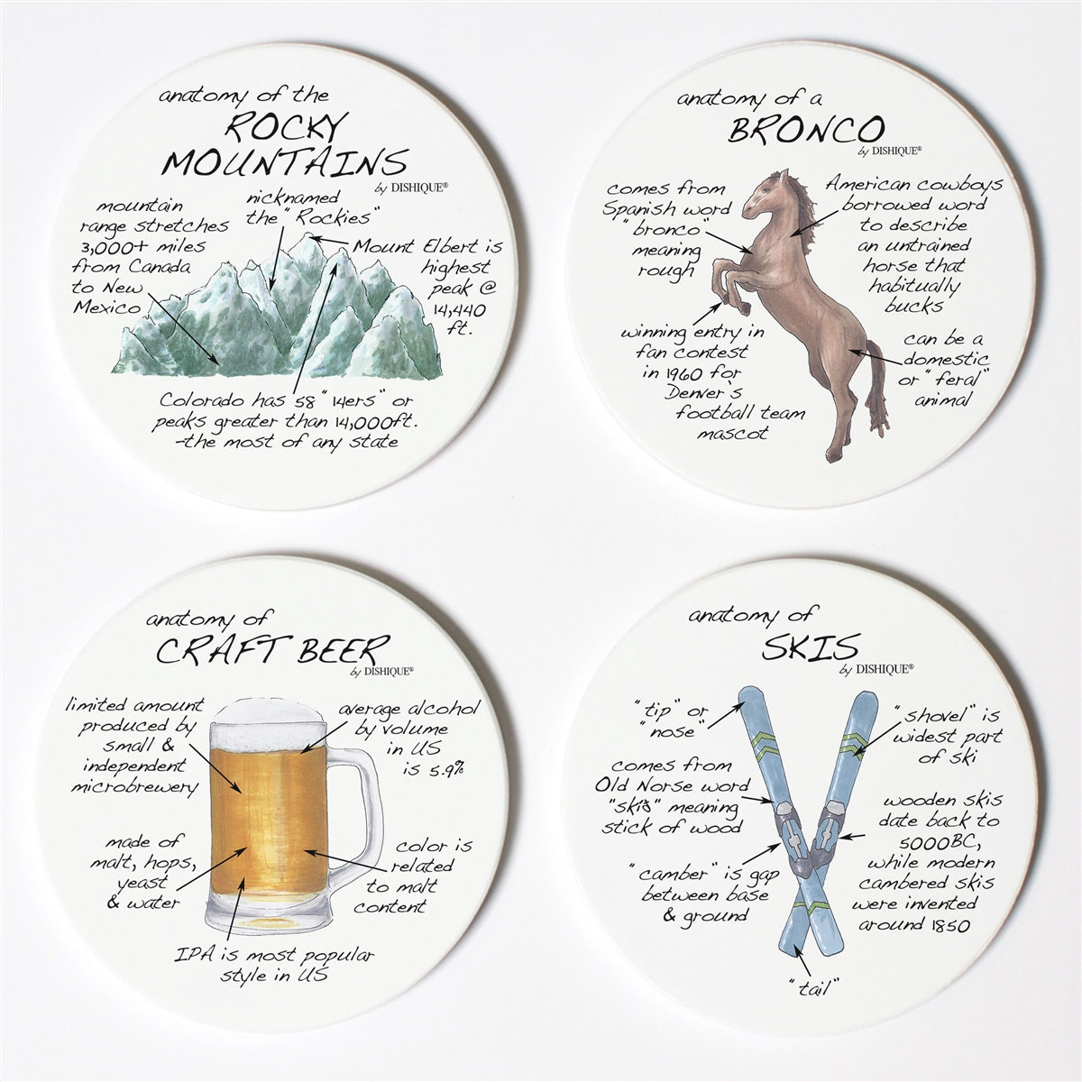 Denver Anatomy Coaster Set