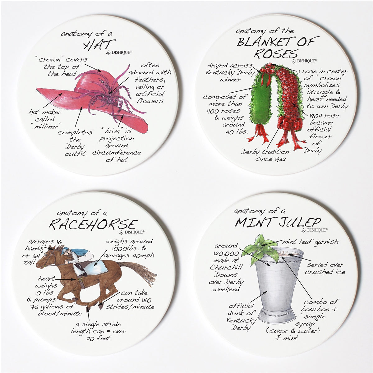 Derby Anatomy Coaster Set