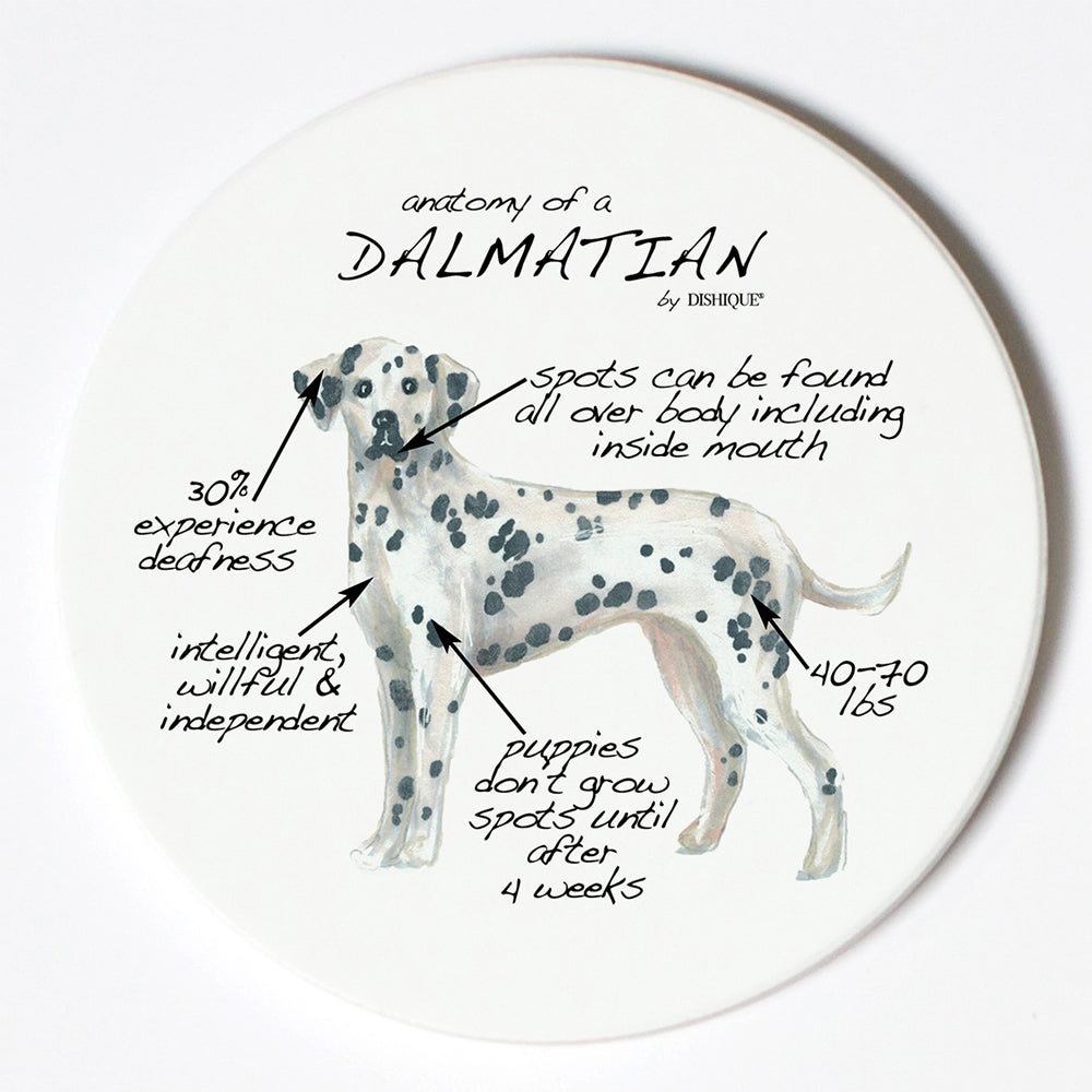 Individual Coaster - Dog Breed Gifts - Dalmatian
