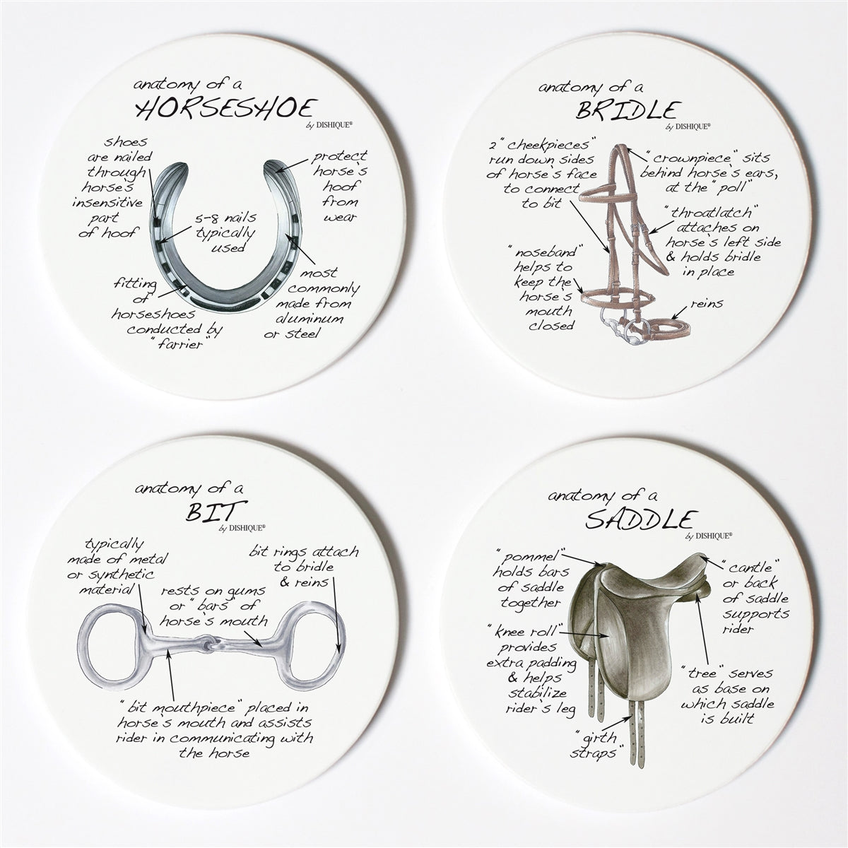Equestrian Tack Anatomy Coaster Set