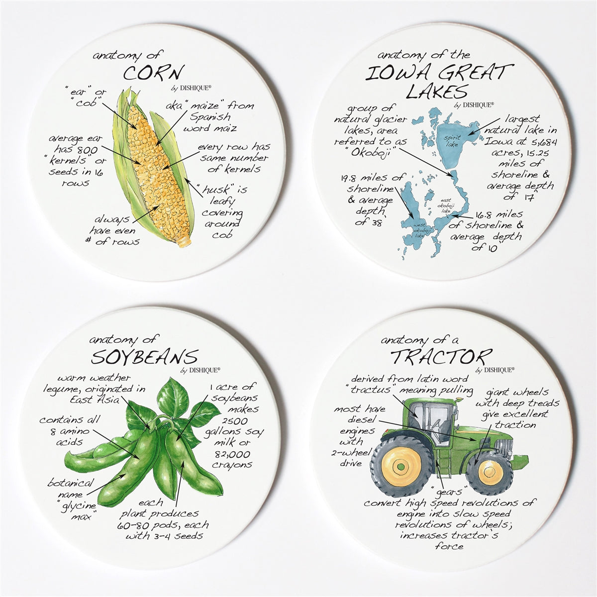 Iowa Anatomy Coaster Set