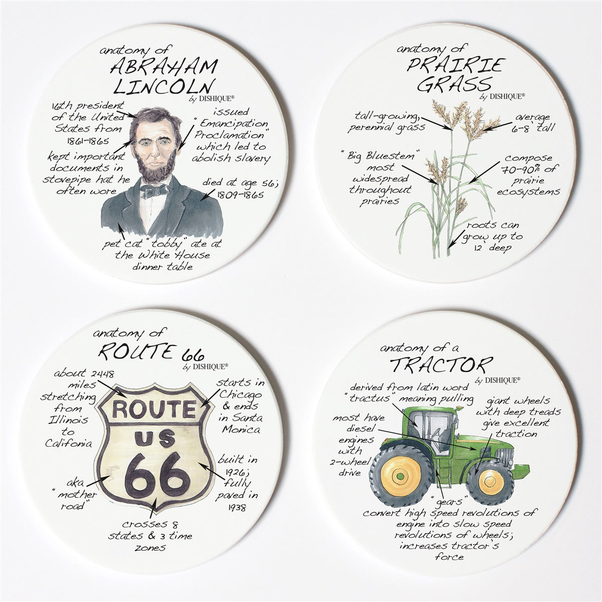 Illinois Anatomy Coaster Set