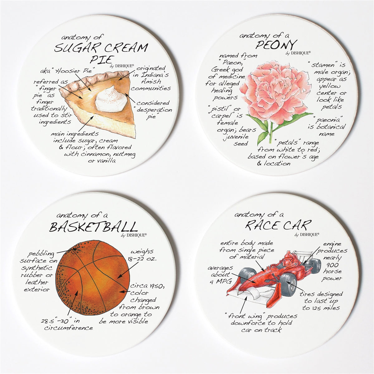 Indiana Anatomy Coaster Set