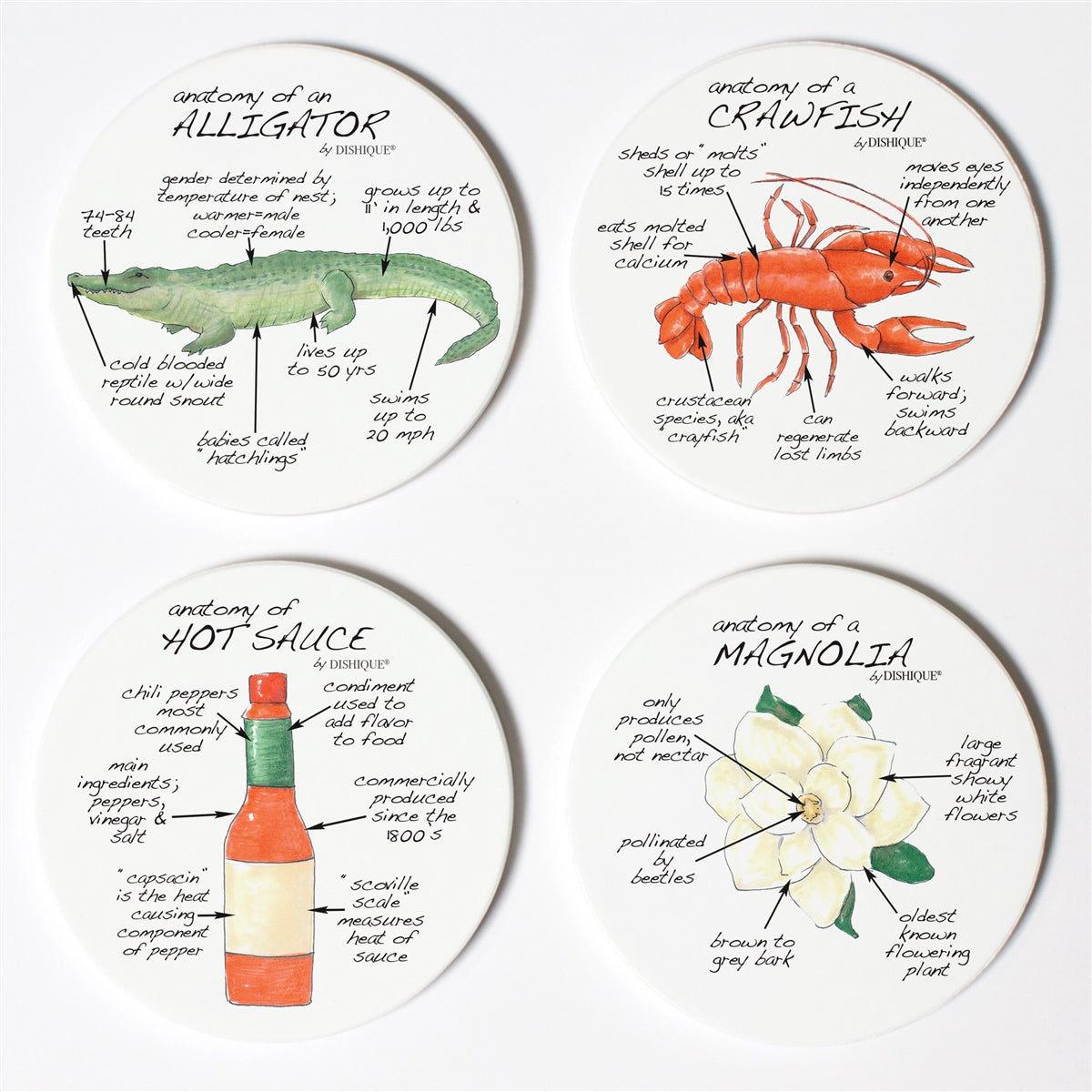 Louisiana Anatomy Coaster Set