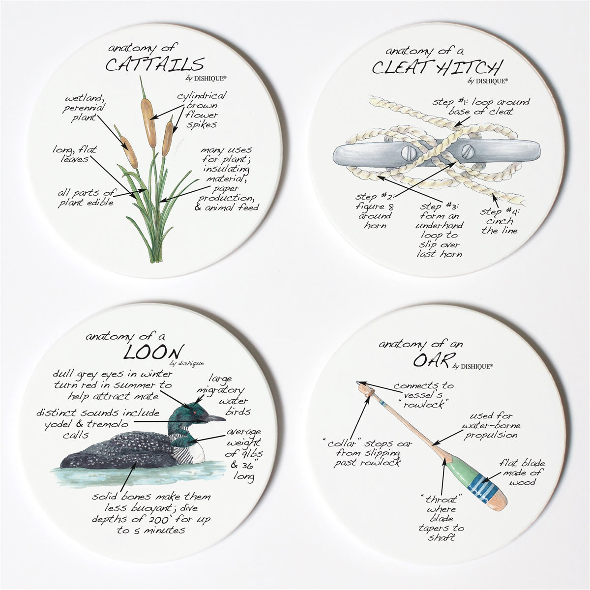 Lake Life Anatomy Coaster Set