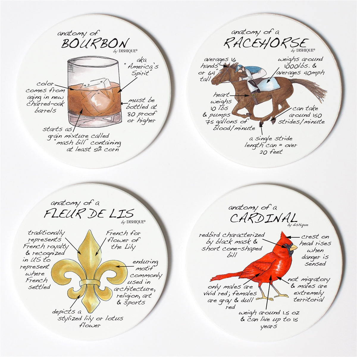 Louisville Anatomy Coaster Set